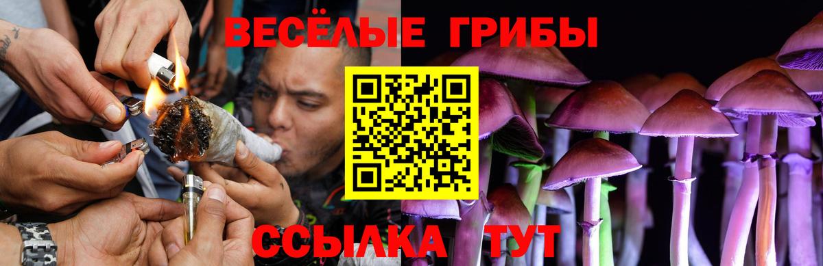 купить закладку  Псилоцибиновые грибы Cubensis  Вход с VPN  Галлюциногенные грибы Psilocybe  Донецк 